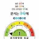 와이즈시스템즈 이미지