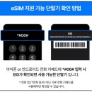 오렌지솔루션 | 이탈리아 여행: 키즈폰 유심USIM, 어른 이심eSIM(최저가 유심스토어 오렌지 20GB 추천)