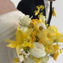 플레르바인 이미지