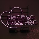 소풍애견미용 이미지