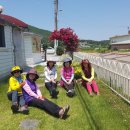 평화농원 이미지