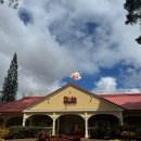 돌농장 | 하와이 간다면 꼭 추천하는 하와이 파인애플 농장(돌 플랜테이션) 아이스크림 후기/ 농장 투어 꿀팁