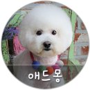 애드몽 - 강남구 강남대로154길 38 | 애드몽