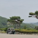 벨라스톤 스타트하우스