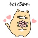 한국아동발달심리센터 이미지