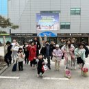 용인대 금강 태권도장 이미지