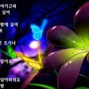 나비사랑 이미지