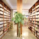 놀숲만화카페 이미지