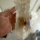 지구에서너뿐 | 지구 관측 일지🌏 [40W 1D] 마침내 마주한 작은 행성 / 울산 보람병원 자연분만 후기