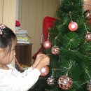 핑크트리 이미지