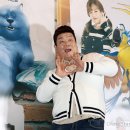 오마이캣츠 오마이뉴스