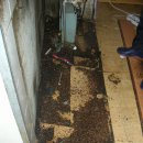 등촌7종합사회복지관 이미지