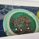 무안읍맛집 싸다뻘낙지 5만원에 낙지가 무려 4마리인 연포탕