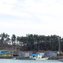 태안오션리조텔 이미지