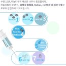Dr.Mini 하늘다람쥐 전문병원 네이버블로그