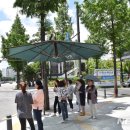 그늘막72 이미지