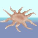 햇님산업 이미지