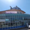 창선교 밑 이미지