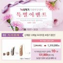 순음보청기