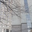 뚜레쥬르가양프라자점 이미지