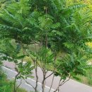 비산 빗물펌프장 이미지