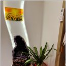 자매전통마사지 | 정왕동마사지 - 귀족전통마사지 전신아로마 150분 힐링 후기