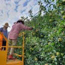 가나안농원 이미지