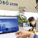 안진농장 이미지