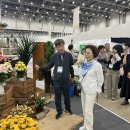 대구화훼 이미지
