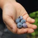 가현정민박 이미지