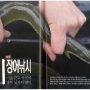장어이야기