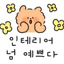 채채네일 이미지