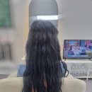 블랑쉬붙임머리 이미지