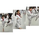 하나 태권도장 | 태권도장 공개심사 후기