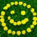 반석농장 이미지