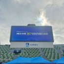 페가수스 | 나이키 여성 러닝화 에어 줌 페가수스 41 일년 후기