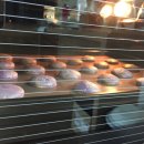 도도메디 이미지