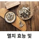 멸치 하루 섭취량 기본 정보 이미지