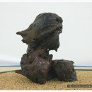 용두레