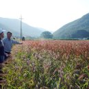 쇠똥구리마을 이미지