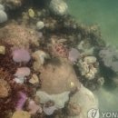 바다사우나 이미지