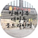 울트라반점 이미지