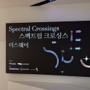 빛의파동 | [서울 전시] 빛으로 그린 감정의 파동, &lt;스펙트럴 크로싱스&gt; :: 가볍게 보기 좋은 DDP 무료전시 추천!