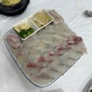 오대감 참가자미회 이미지