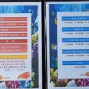 조희정회도매센타