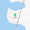 블루아라 이미지