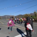 샛골농장 이미지