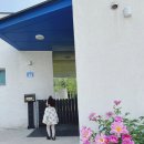 햄릿과 올리브 이미지