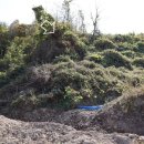 박달3리 이미지