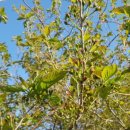 고흥사랑민박 이미지